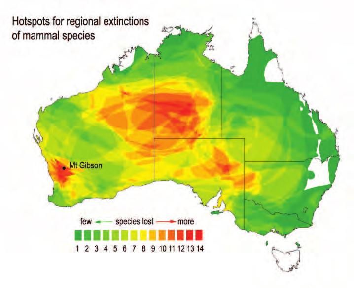 Hotspots for regional extinctions of mammal species This map identifi es those areas of Australia that have lost the highest number of threatened mammals.