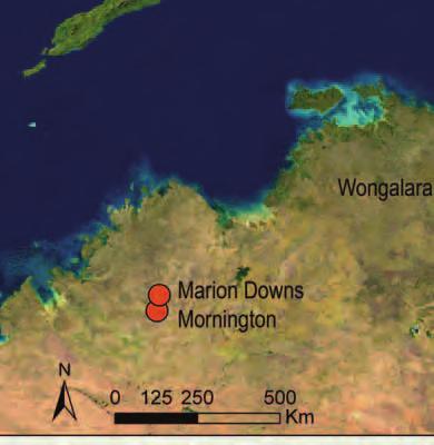 In addition, we will also be carrying out landscape-scale experiments of herbivore control within fi ve properties, or replicates, between the Kimberley and Cape York Peninsula.