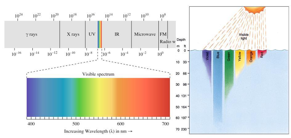 Spectral Measurement Using