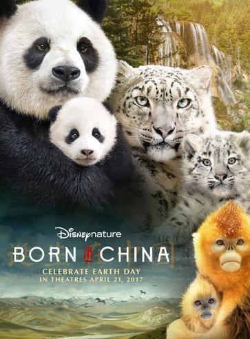 MOVIE NIGHT Friday, September 8th 7PM - Clubhouse The latest installment in the Disneynature wildlife