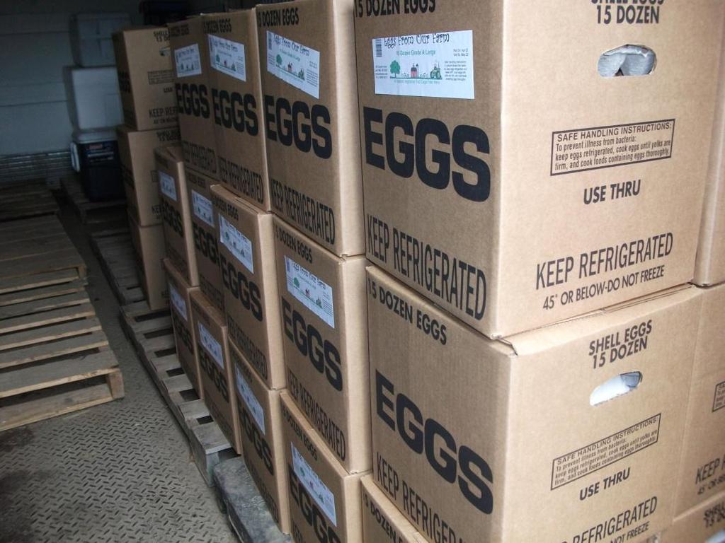 F Eggs