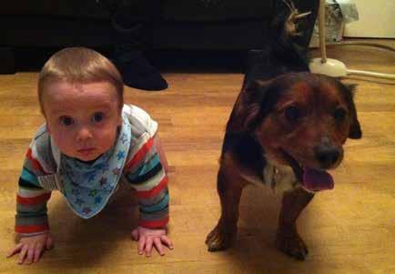 Dogs and babies 7. Create a comfortable nest to rest Dogs should always have a quiet, safe place to retreat to when they need some rest or alone time.