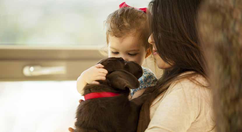 Child safety around dogs The connection between pets and children is heart-warming to watch and it can be very beneficial to have a dog present in your child s life.
