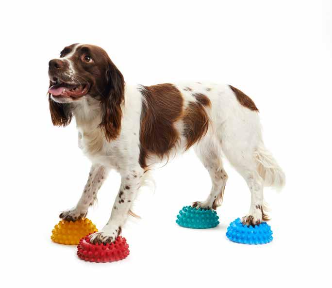 FitPAWS Paw Pods Paw Pods are balace stoes for dogs. Place uder the dog s feet for balace traiig ad core stregtheig.