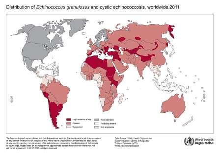 Cystic echinococcosis: Epidemiology CE is globally distributed and found in every continent except Antarctica.