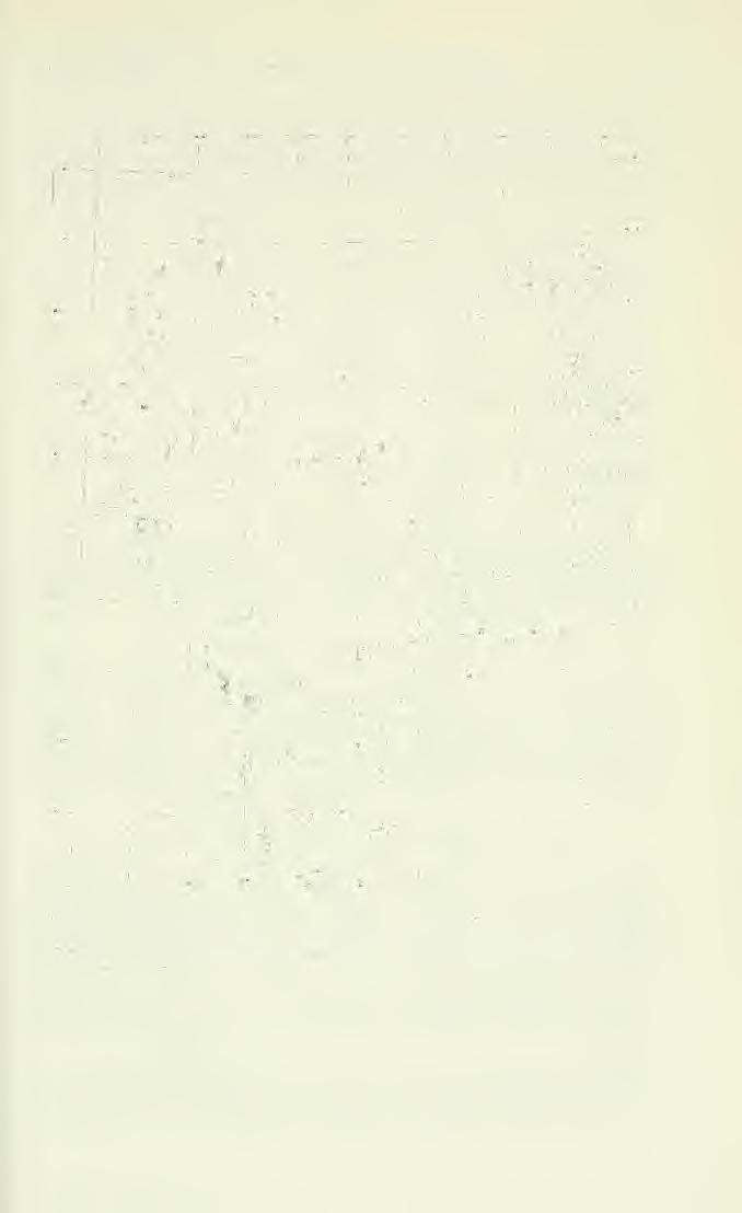 Dec. 31. 1966 REVIEW OF GREAT BASIN REPTILES 89 Figure 1.