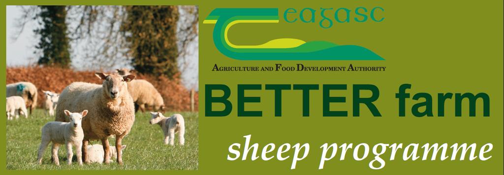 Sheep Farm Walk July 29th 2016 Farm of Peadar Kearney Nicolastown,
