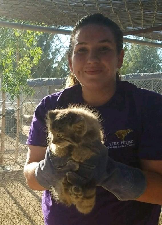 P a ge 6 S pots & S t ripes F a ll 2017 Meet the Keeper: Ashley Diaz EFBC-FCC staff includes full-time zookeepers. We d like to introduce you to these dedicated professionals each issue this year.