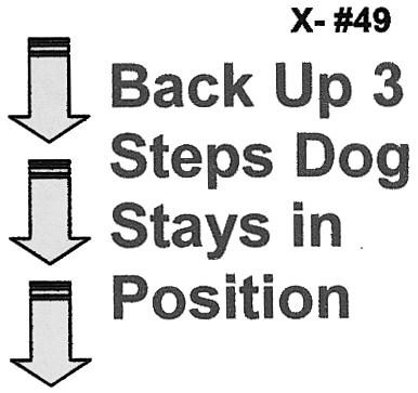 Moving Down Walk Around Dog X-#48a 204. Moving down Walk around dog While heeling and without pausing, the handler will down the dog and walk around the dog to the left, returning to heel position.