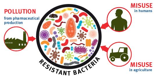 Environments polluted with this waste can create reservoirs of antibiotic resistance.