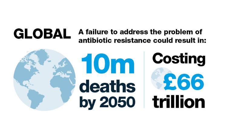 on AMR, sets out