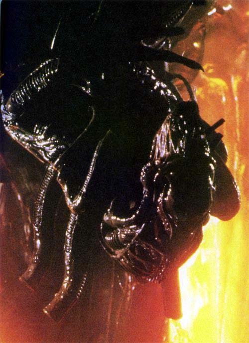 The drone is the most common of the adult xenomorphs. In a hive, the drones tend to the food chambers, and are responsible for getting new food and potential hosts.