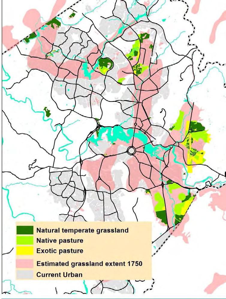The moths and lizards that shaped Canberra + Michael Mulvaney ACT Planning and Environment Directorate Abstract: The desire to retain viable populations of Canberra s threatened grassland fauna has