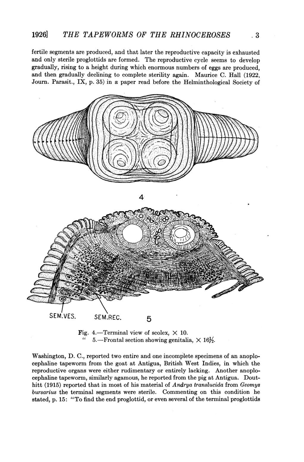 1926] THE TAPEWORMS OF THE RHINOCEROSES 3 fertile segments are produced, and that later the reproductive capacity is exhausted and only sterile proglottids are formed.