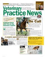 6 Exam Codes Every Veterinary Practice Needs Reasons to be a Veterinarian Veterinary Practice News Blogs The