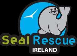 Eva the Ninja Turtle, background from Seal Rescue Ireland Background The Turtle was found on December 22nd, 2015 on Kilmore quay
