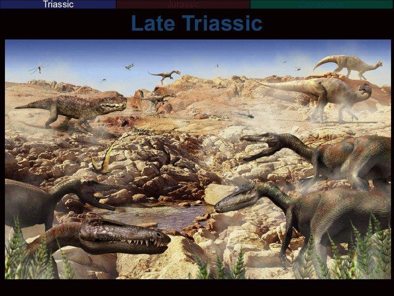 By the late Triassic, the earliest true dinosaurs were here, and were already diversified, as seen in the
