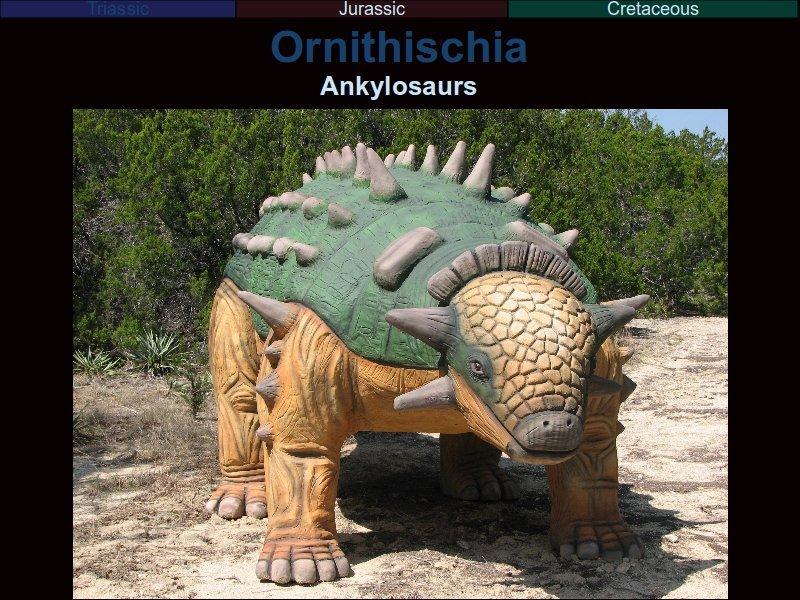 The ankylosaurs are another group of ornithischians, famous for their heavy armour plating. These were obviously defensive.