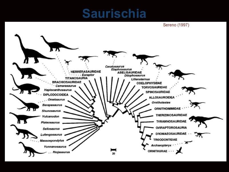 The other major group of dinosaurs are the