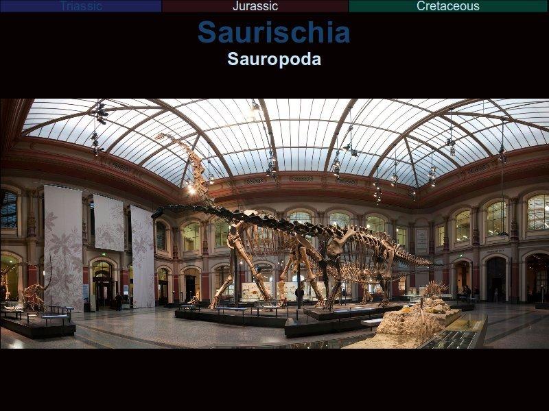 The sauropods are the largest land animals to have