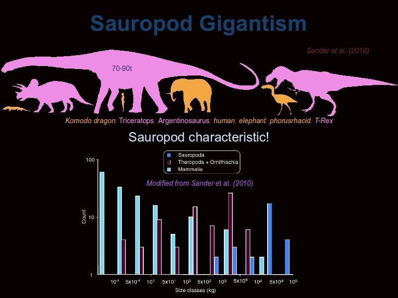 Gigantism is a hallmark of the sauropods. In the picture above, Argentinosaurus is the sauropod and weighed up to 90 tonnes large enough for an elephant to fit under their tail.