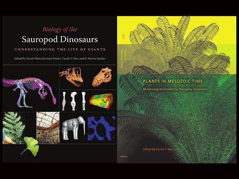 If sauropod palaeobiology is of interest to