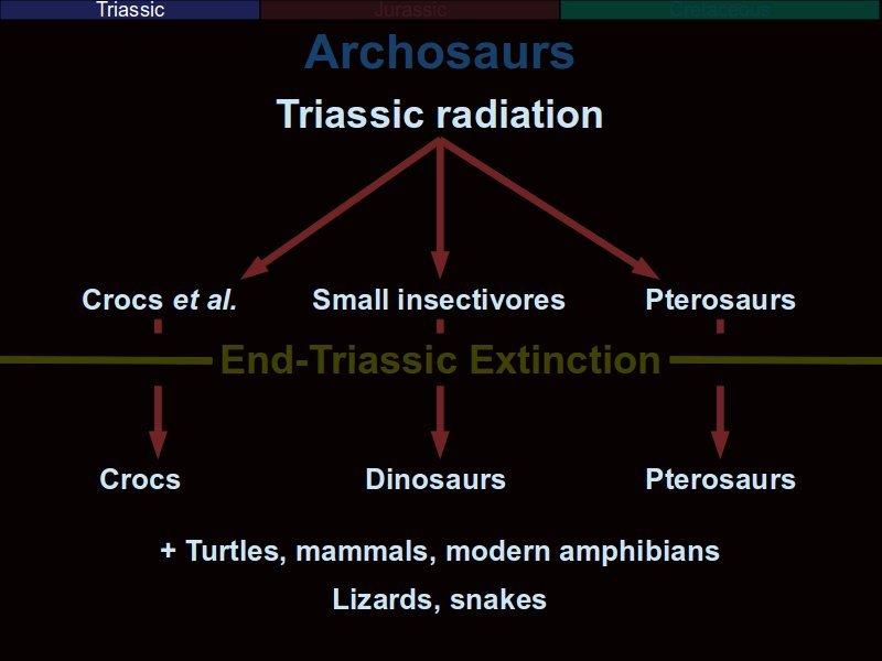 At the end of the Triassic, another extinction event happened which killed off many of the archosaurian groups.