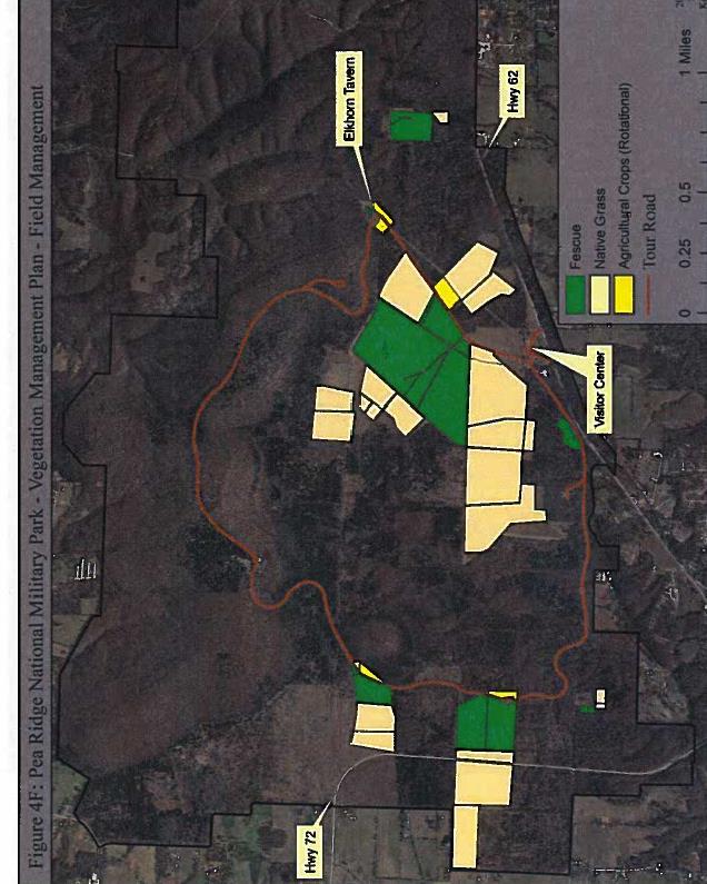 Map of the planned vegetation changes to the park Provided