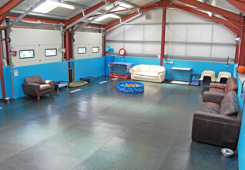 DESCRIPTION Playful Paws is a most unique and attractive business and is the only fully licensed and insured luxury dog daycare centre covering the City of Inverness and surrounding area.