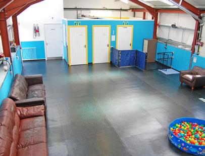 Dog daycare provides owners with a safe, fun and stimulating environment for their dogs to play off-leash with other dogs under the careful supervision of trained staff.