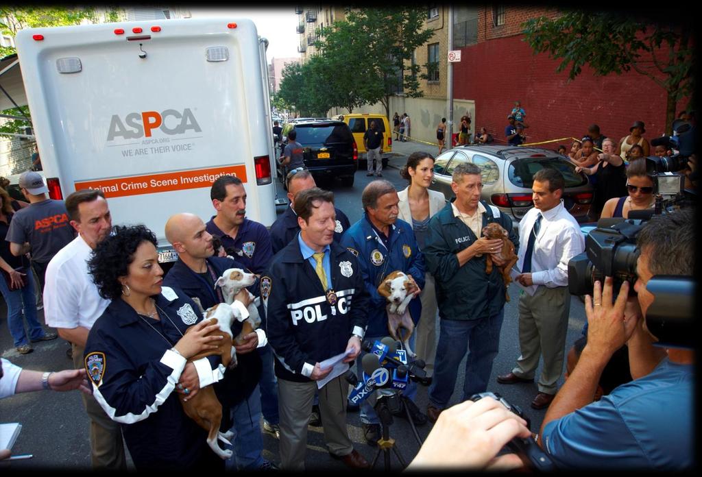 CASE REVIEW: OVERVIEW Collaboration Investigation Seizure ASPCA NYPD Bronx Prosecutor s Office NYPD undercover 18 months
