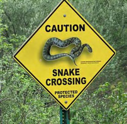 Public Awareness Simple strategies, such as placing signs, can inform the public about local species conservation