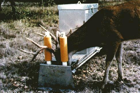 4 Poster Deer Feeder Technology Not only were the ears, heads,