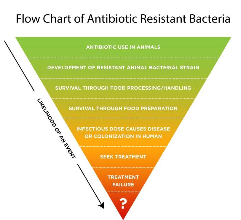 Figure 1 Human health Risk Assessment of Penicillin/Aminopenicillin Resistance in Enterococci Due to Penicillin Use in Food Animals. Cox, et. al., Risk Analysis, Vol. 29, No.