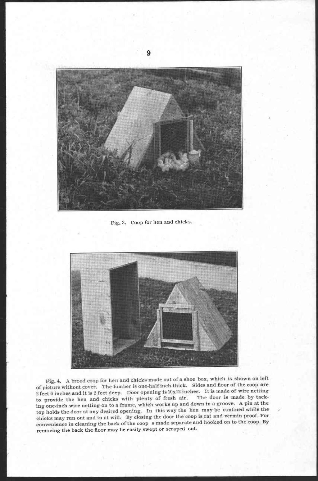 9 Fig. 3. Coop for hen and chicks. Fig. 4. A brood coop for hen and chicks made out of a shoe box. which is shown on left of picture without cover. The lumber is one-half inch thick.