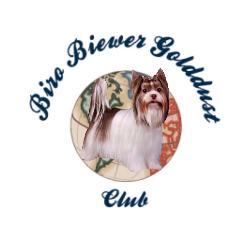 BIRO BIEWER GOLDDUST CLUB, INC RESCUE PROGRAM APPLICATION The objective of the Biro Biewer Golddust Club, Inc.