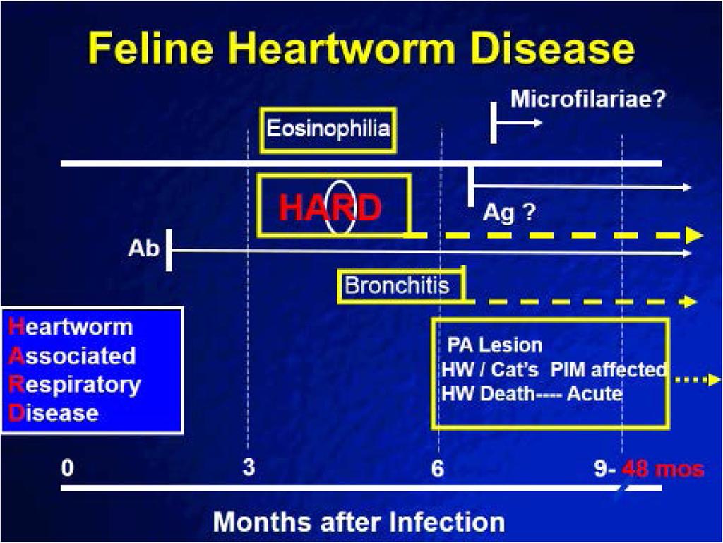 The Author(s) Parasites & Vectors 2017, 10(Suppl 2):514 Page 223 of 11 Fig. 28 Diagram of feline heartworm disease and HARD.
