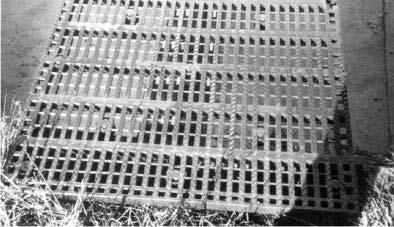 Goose production 31 FIGURE 20. Plastic flooring suitable for both young and adult geese (France) (Source: Buckland, 1995) A more traditional type of intensive housing is the deep litter system.