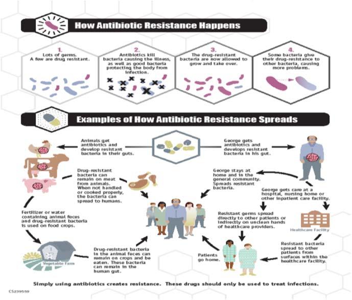 The Centers for Disease Control and Prevention (CDC) Web site is a good place to start and includes links to many relevant resources, including the following: CDC s Core Elements of Antibiotic