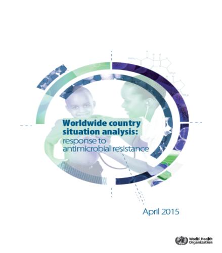 Worldwide country situation analysis Most important findings of this report: 33/133 countries have action plan