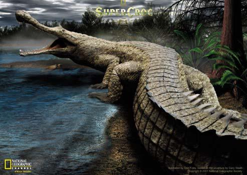 Sarcosuchus imperator from the