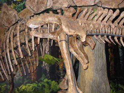 Ornithiscian