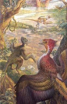 Birds evolved from feathered theropods