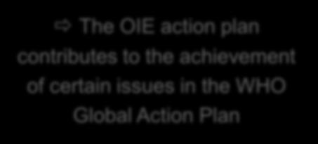 Action Plan Rabies Global