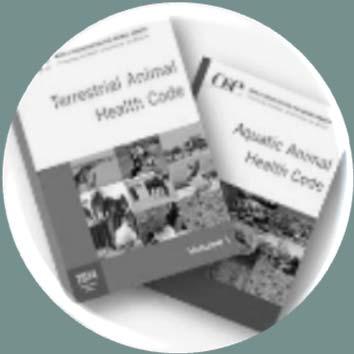 TRANSPARENCY of the world animal disease situation EXPERTISE