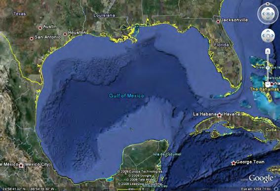 Problem Weak Hooks: Reducing Bluefin Tuna Bycatch in the Gulf of Mexico