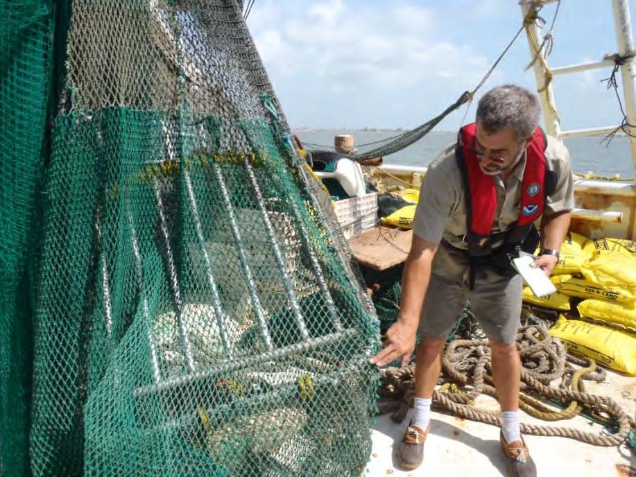 Conclusions Effective Implementation of Bycatch Reduction Technologies Adoption of laws requiring bycatch technology.