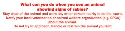 available (only high-risk individuals) Stay away from wild animals Rabies virus, all rabies-related lyssaviruses Bites, licks and/or scratches from an infected animal All people are at risk in South