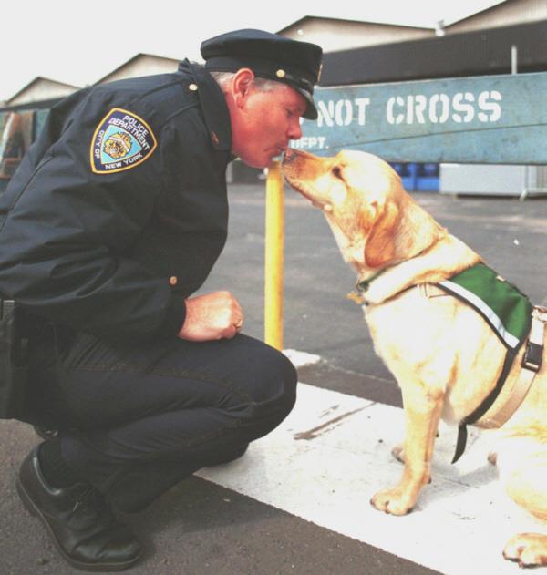Why Use Dogs in Crisis Response? There is a special bond between people and dogs. Dogs are generally accepted as helpers of man.