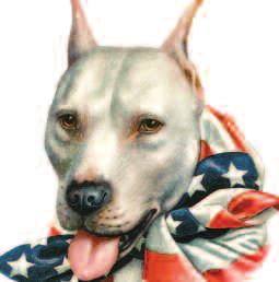 discriminatory or breed specific provisions. (http://www.abajournal.
